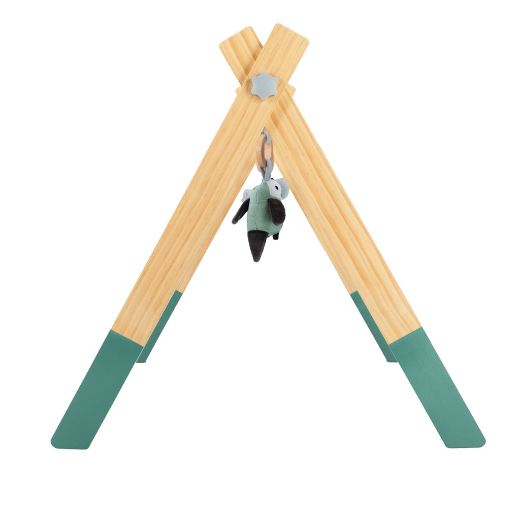 Wooden Play Gym